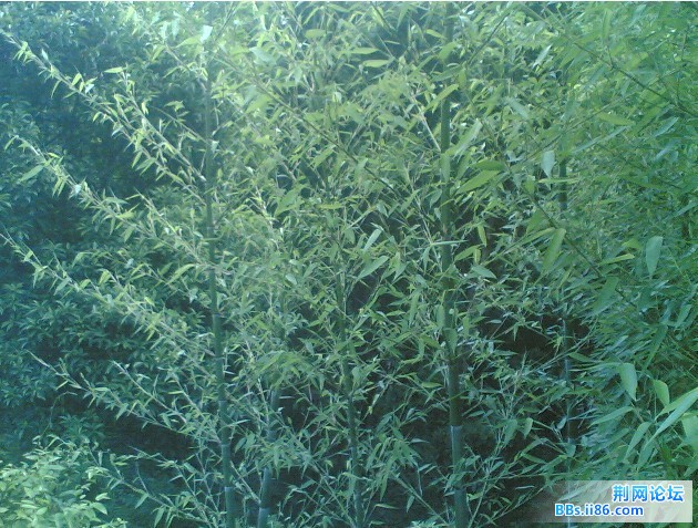 未命名.jpg
