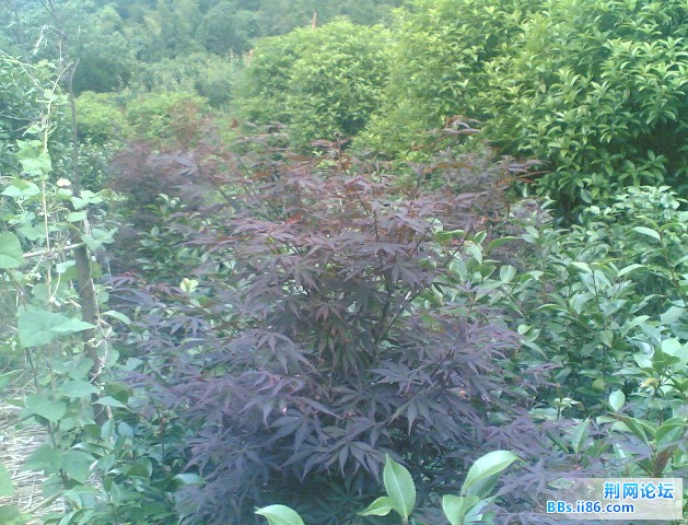 未命名4.jpg