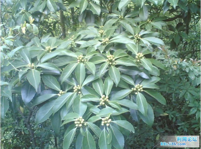 未命名.jpg