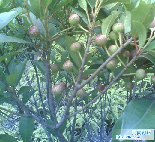 未命名9.jpg