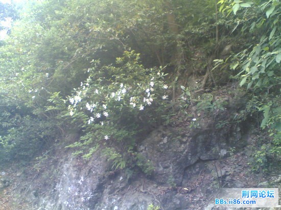 20090601(039).jpg