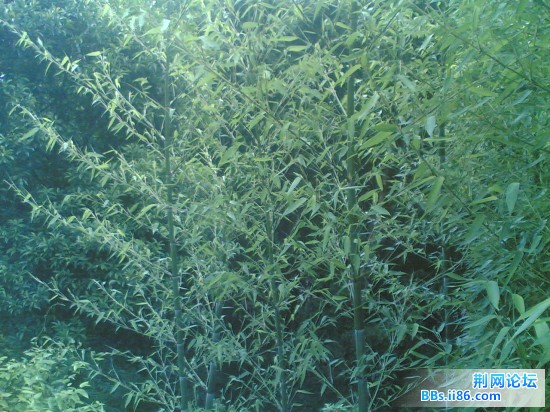 20090601(025).jpg