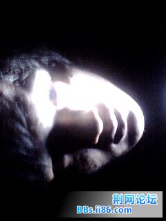 IMG0009A.jpg