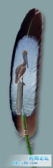 showimg6.jpg