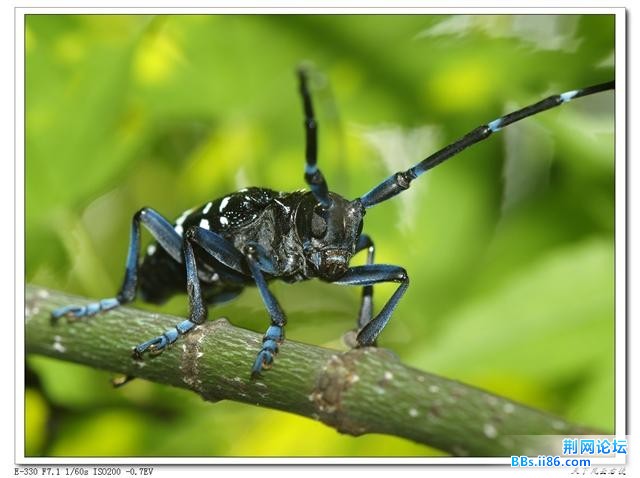 20090605_166ab9f745e313094329B0r2nwOAqzW1.jpg