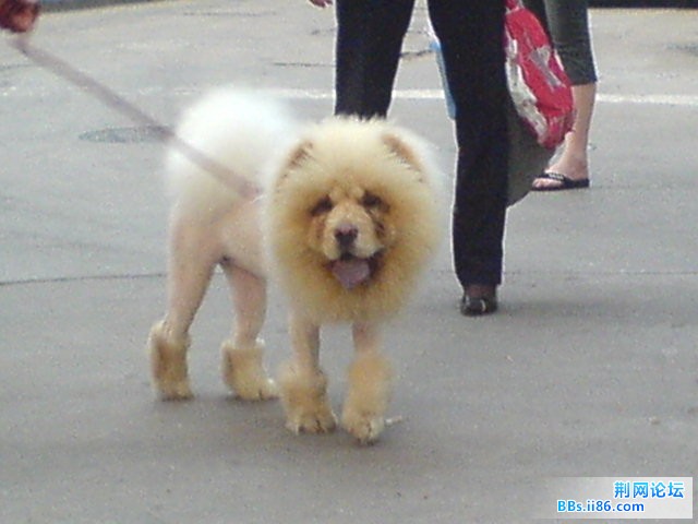 DSC00217.JPG