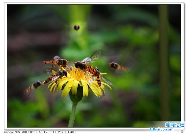 20090603_f0705f9e371076085e58HXtZ8Bkzpehx.jpg