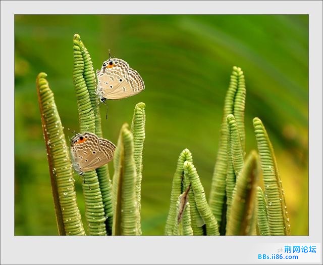 20090606_8815e83b100f8c8a252d7RoFWrtlt2Iw.jpg