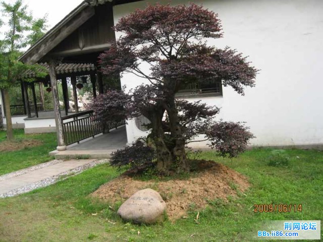 照片 008.jpg