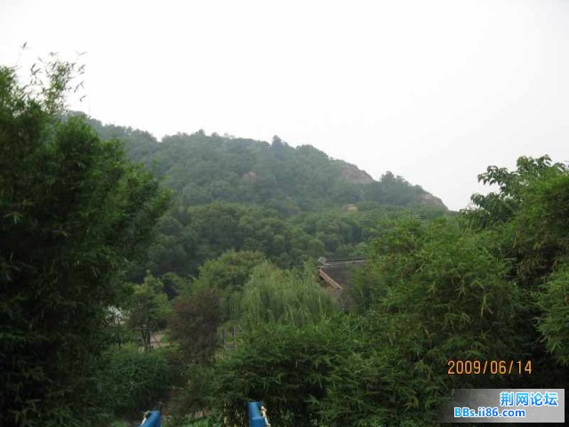 照片 012.jpg