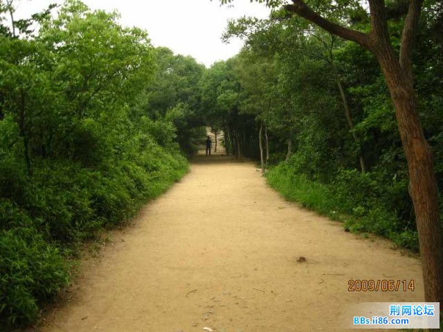 照片 045.jpg