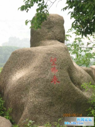 照片 072.jpg
