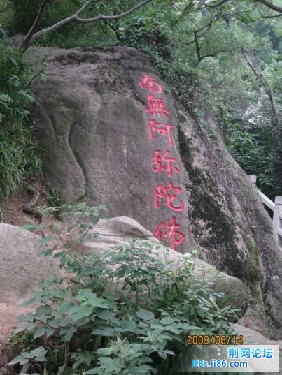 照片 035.jpg