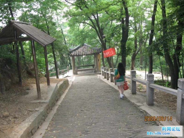 照片 081.jpg