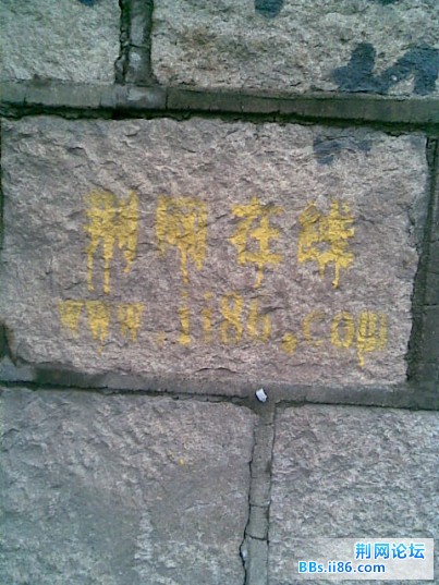 图像003.jpg
