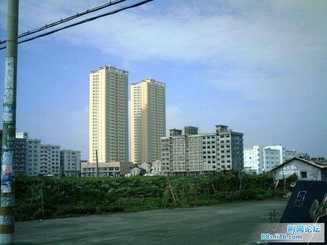 IMAG0011.JPG