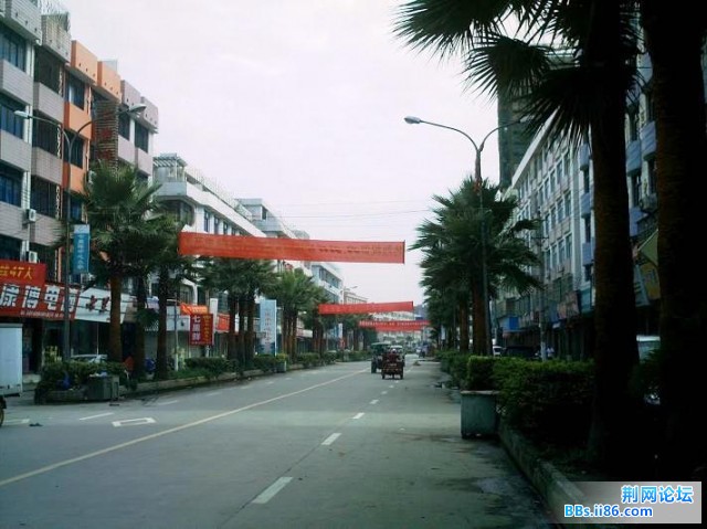 IMAG0016.JPG