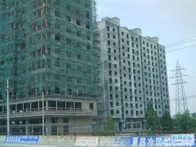 IMAG0020.JPG