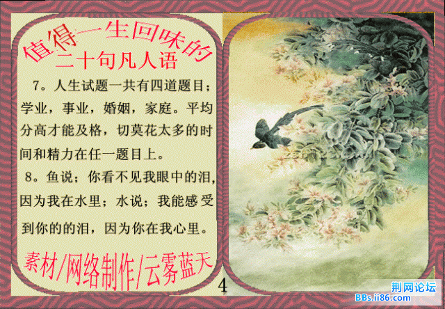 4.gif