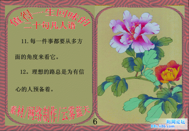 6.gif