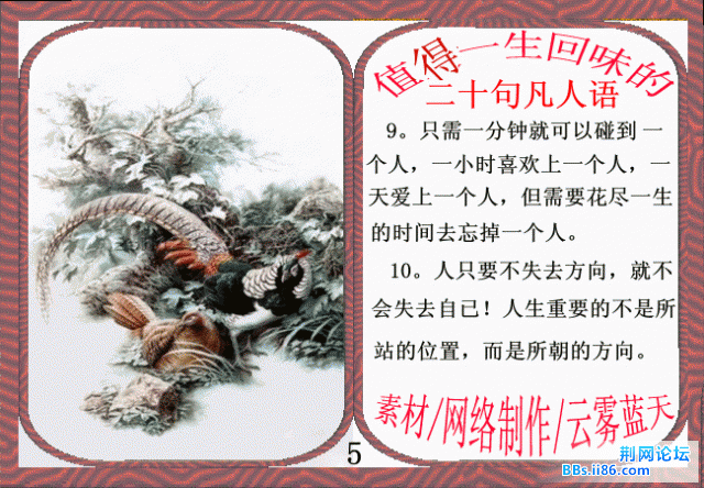5.gif