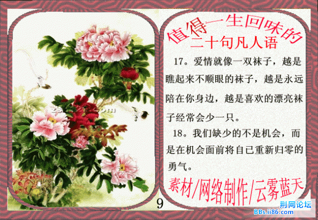 9.gif