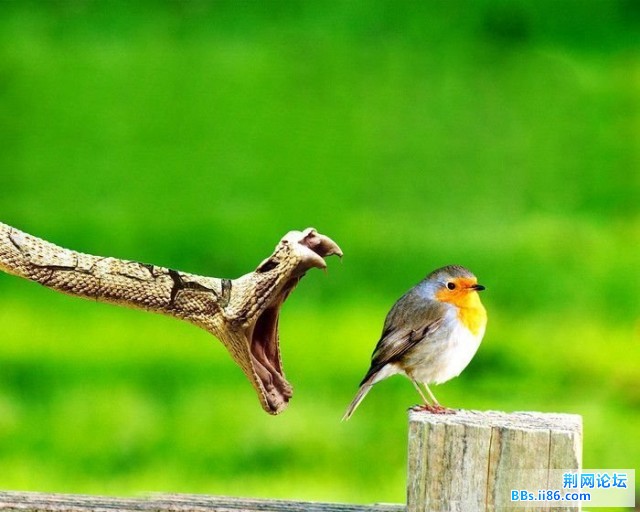20090403_7aa4dbcc93c0845a4faeoOweWdZA370z.jpg