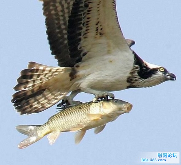 20090403_05b82c18dcd5d67d850bO7bKajMSHqbk.jpg