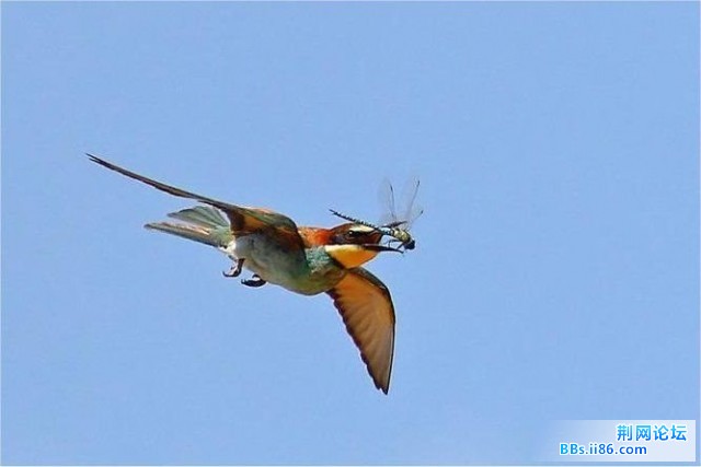 20090403_d4f5adc44589d232f5d5uFuYpDbY04Is.jpg