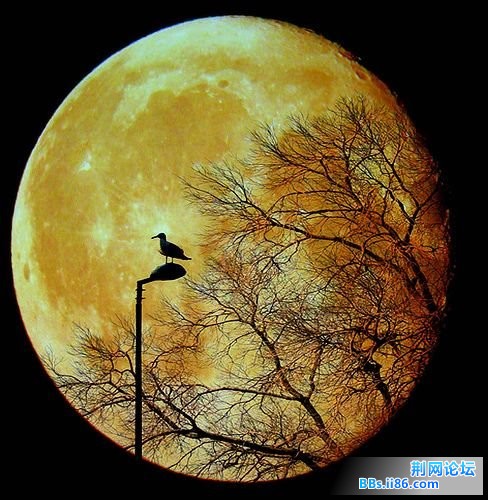 20090403_e3570ec75e8401a09d97VjRKcGiBAW5L.jpg