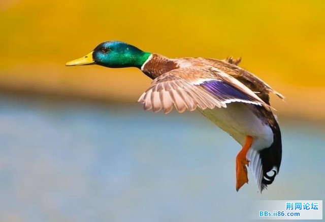 20090403_302a9ca86e5c020b40deetfmVU2GaEXW.jpg