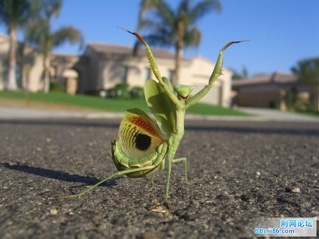 20090403_76c91fa8e0df3ed16a63MnlRHE15G9cK.jpg