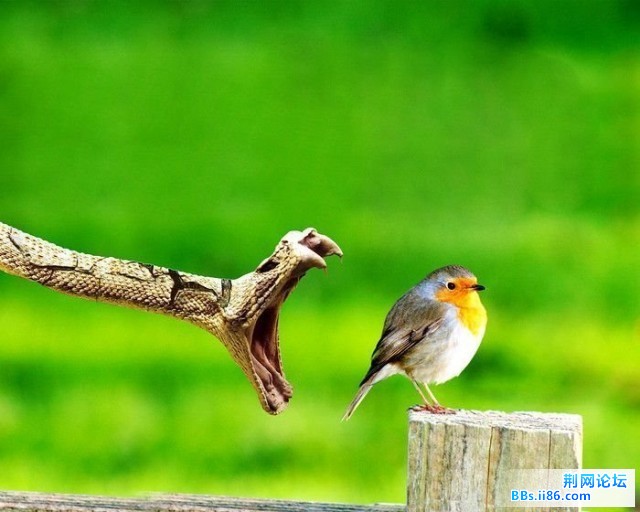 20090403_7aa4dbcc93c0845a4faeoOweWdZA370z.jpg