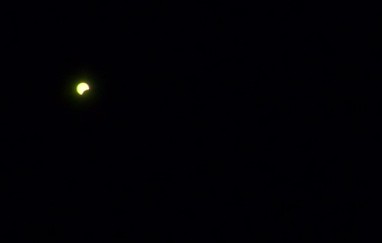 20090722aa.jpg