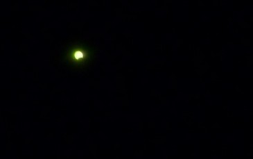 20090722bb.jpg