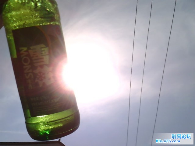 IMG0134A.jpg