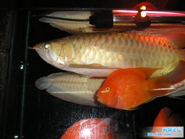 P1010014.JPG