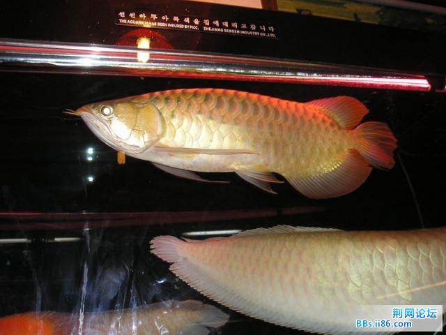 P1010022.JPG
