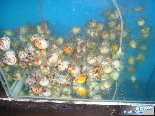 P1010021.JPG