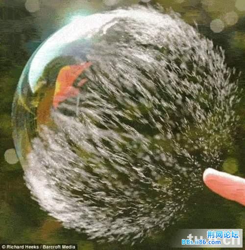 图4.jpg