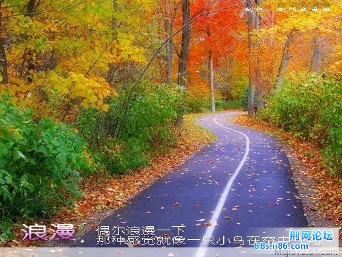 4c09ab93c74cb5912b85f5324de30bad.jpg