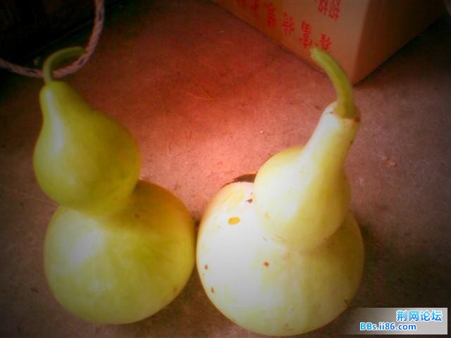图像006.jpg