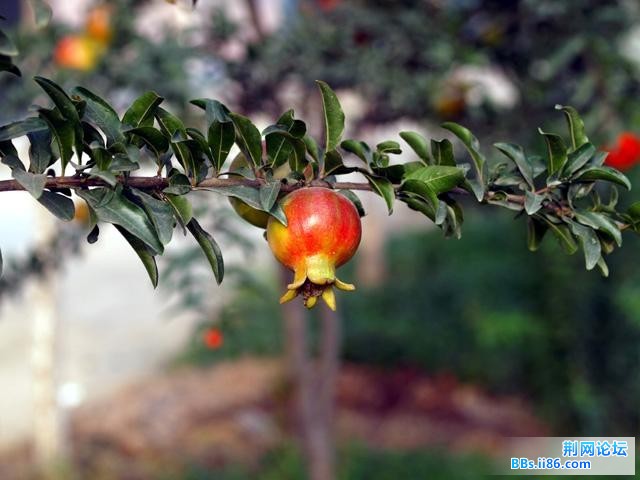 20090730_93161e8cb257acaa9d2cGZasMhAWNHPw.jpg