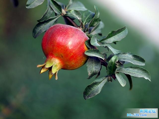 20090730_4f33ac626b1d953cbd84vSSkb28XukUo.jpg