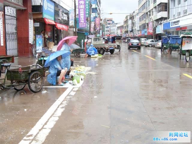 SDC13933.JPG