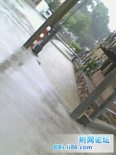 IMG0069A.jpg