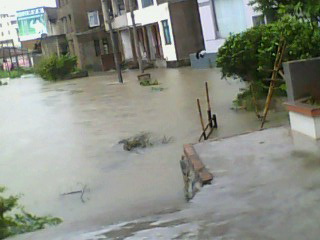 IMG0058A.jpg