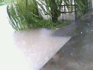 IMG0063A.jpg