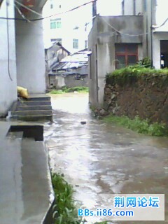 IMG0060A.jpg