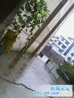 IMG0064A.jpg